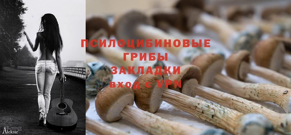 ALPHA-PVP Богородицк