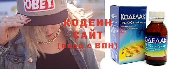 индика Богородск