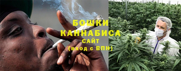 индика Богородск