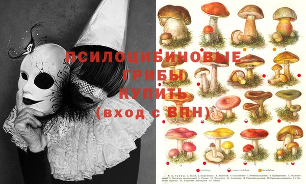 индика Богородск