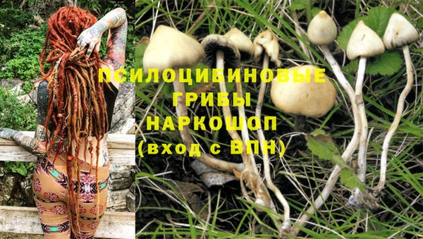 индика Богородск