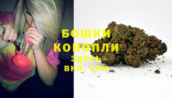ALPHA-PVP Богородицк