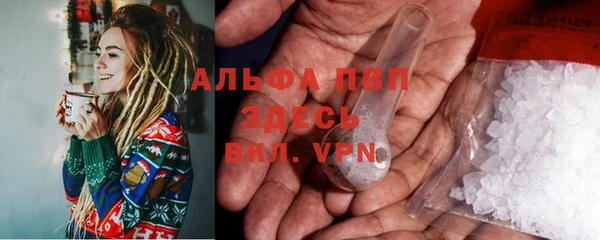 индика Богородск