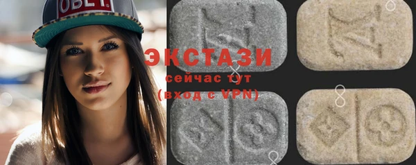 индика Богородск